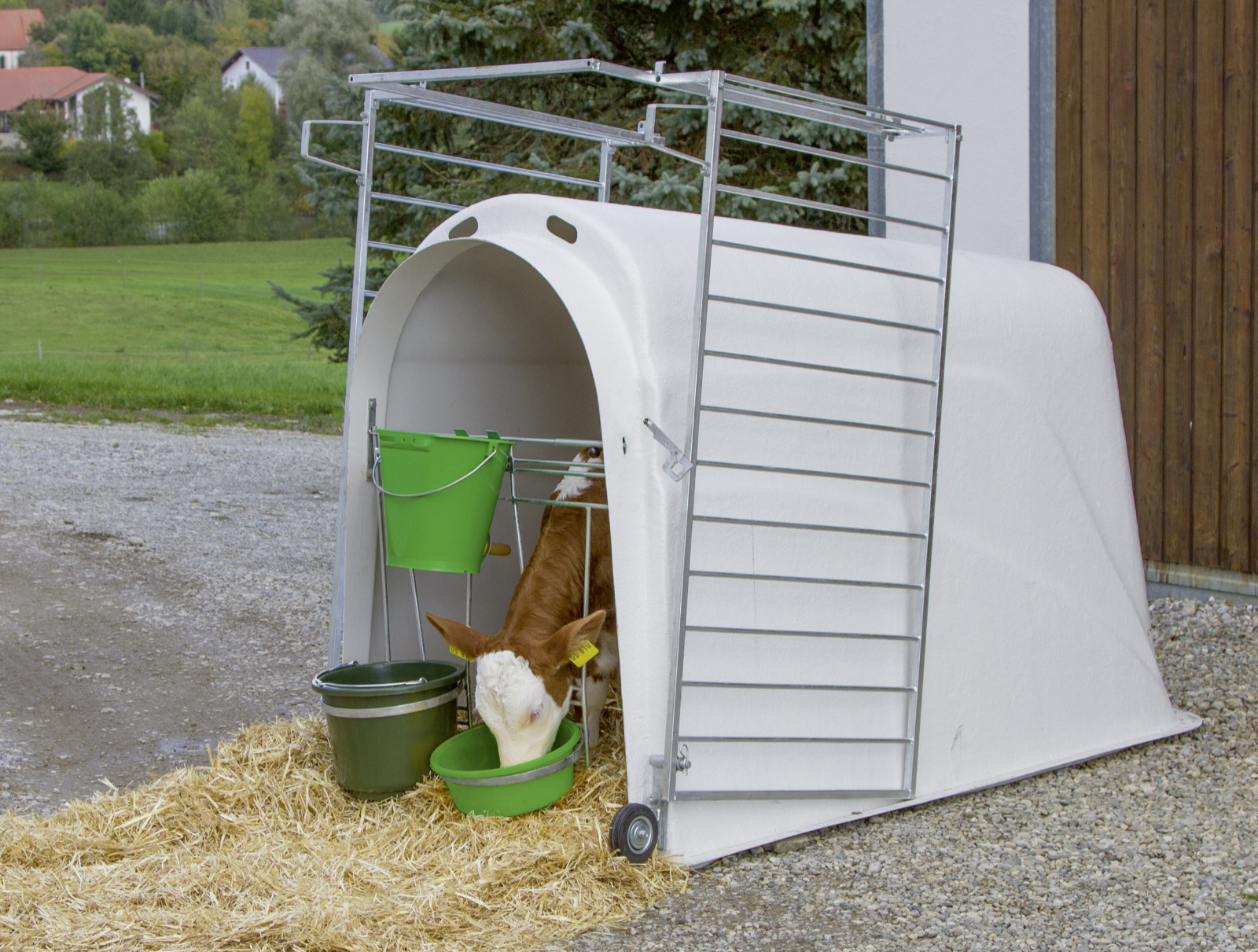 Kälberiglu Master Plus, mit Zaun