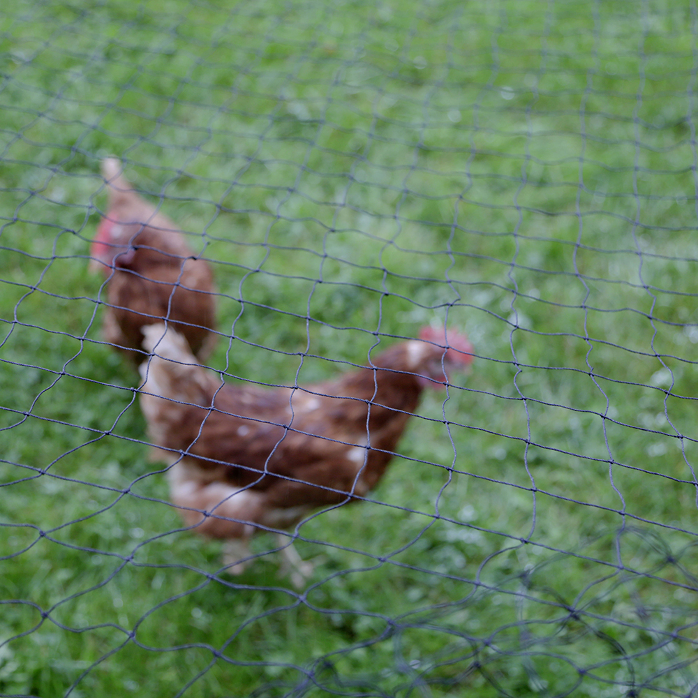 Raubvogelabwehrnetz