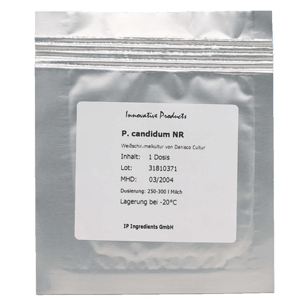 Culture de moisissure blanche