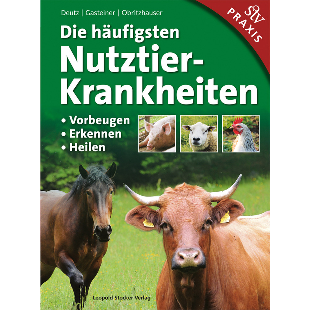 Les maladies des animaux d'élevage les plus courantes : prévention, détection et traitement