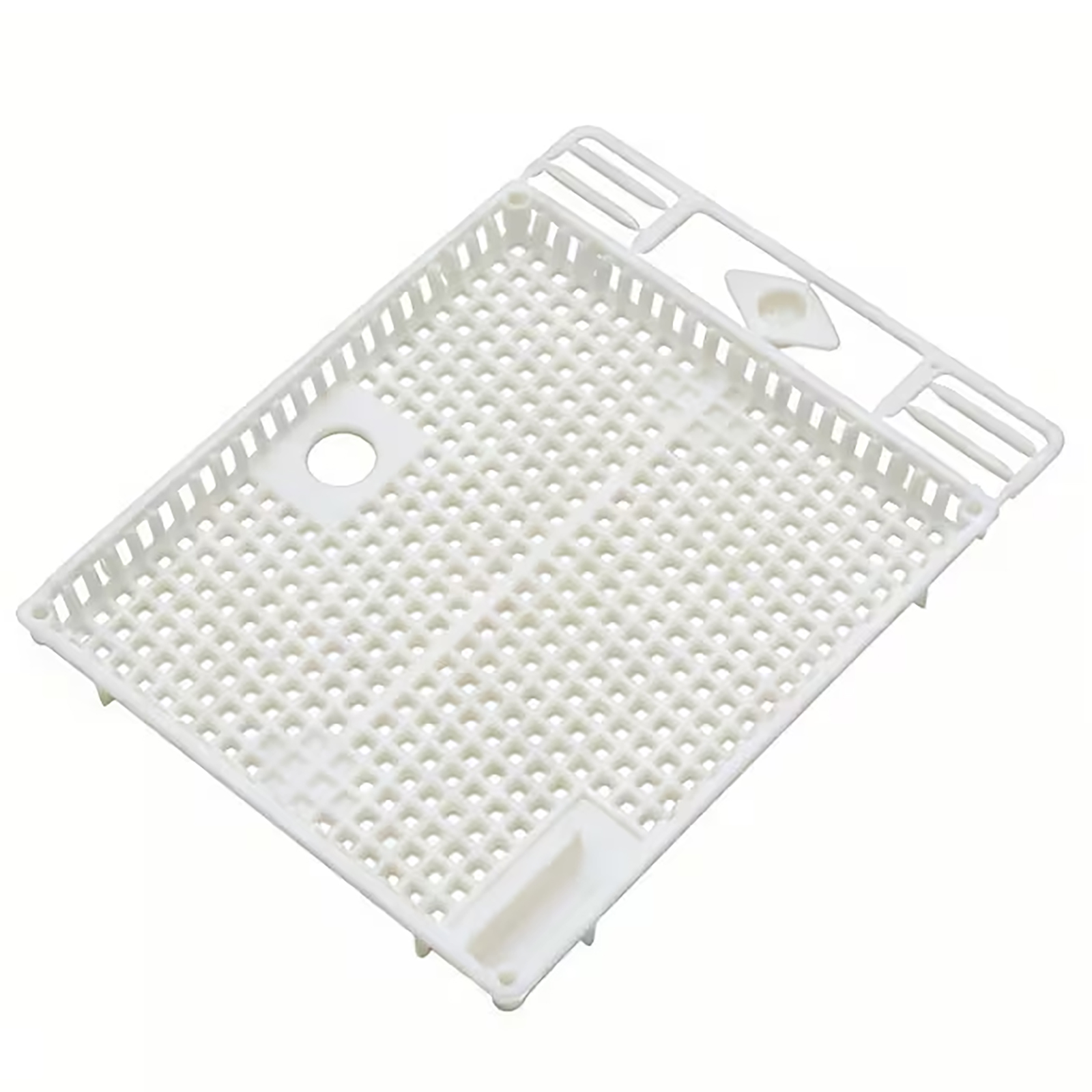 Grille d'ajout de reines