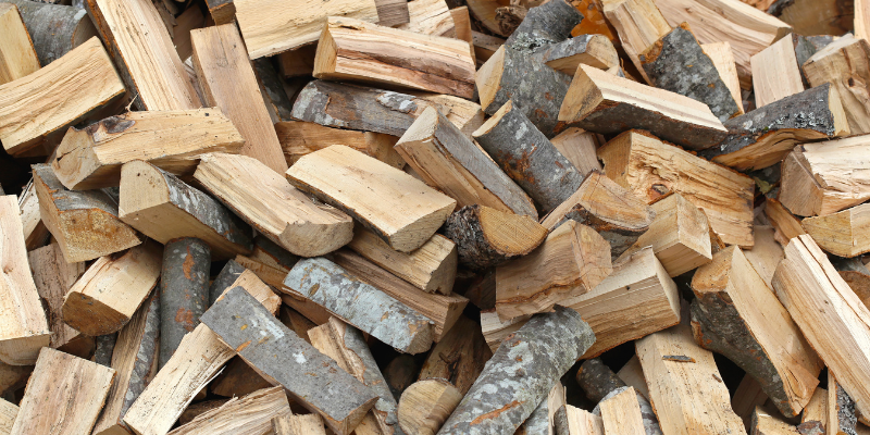 Ratgeber_Brennholz selbst gemacht