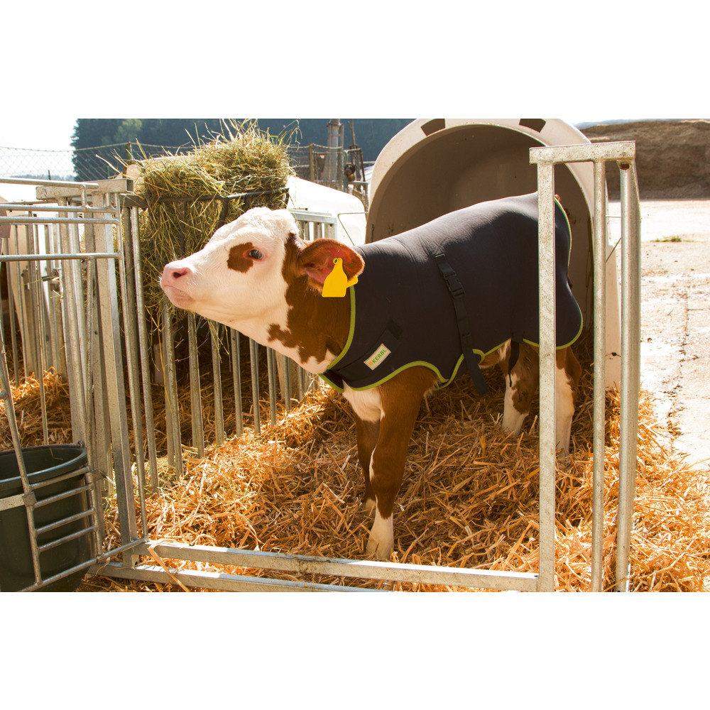 Kälberdecke Premium