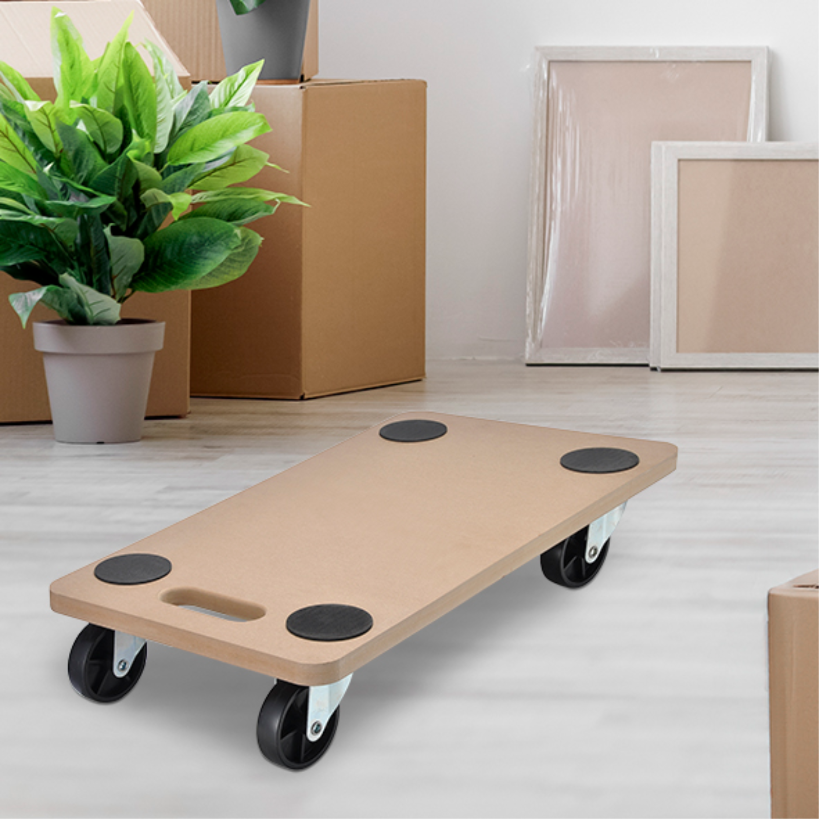  Planche à roulettes de transport 