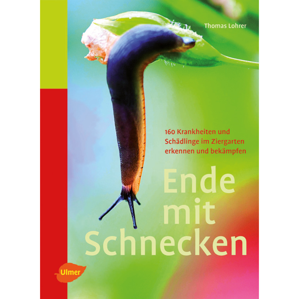 Ende mit Schnecken