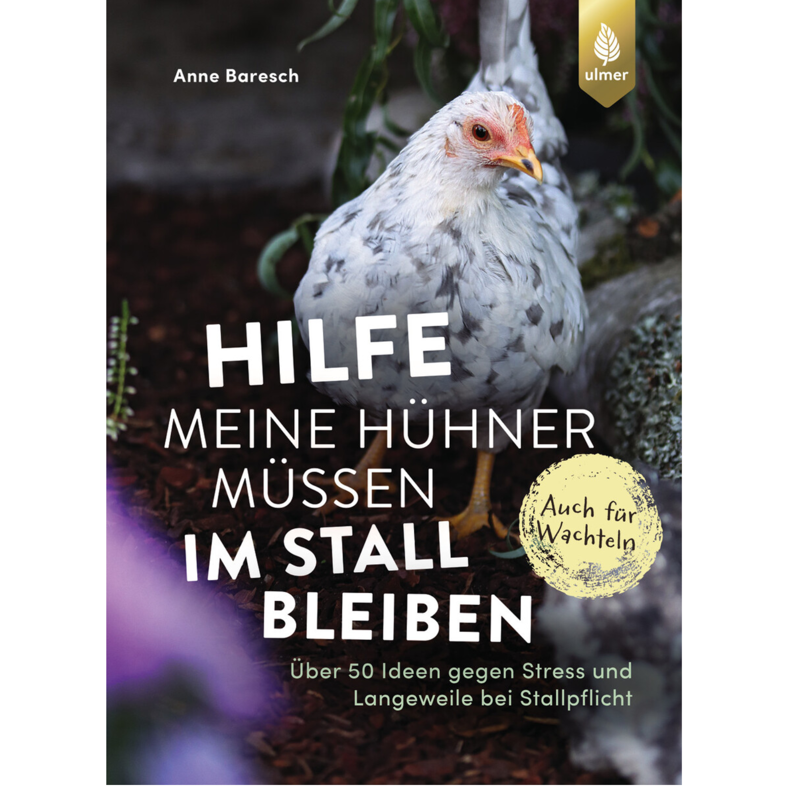 Hilfe meine Hühner müssen im Stall bleiben
