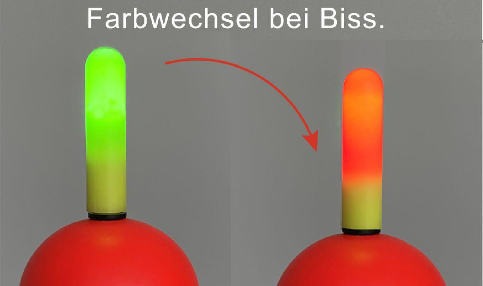 Elektropose mit Bissanzeiger