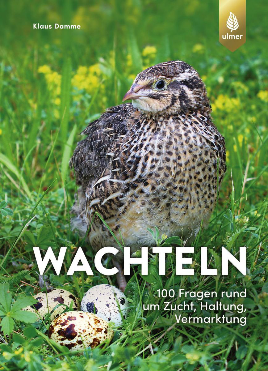 Wachteln