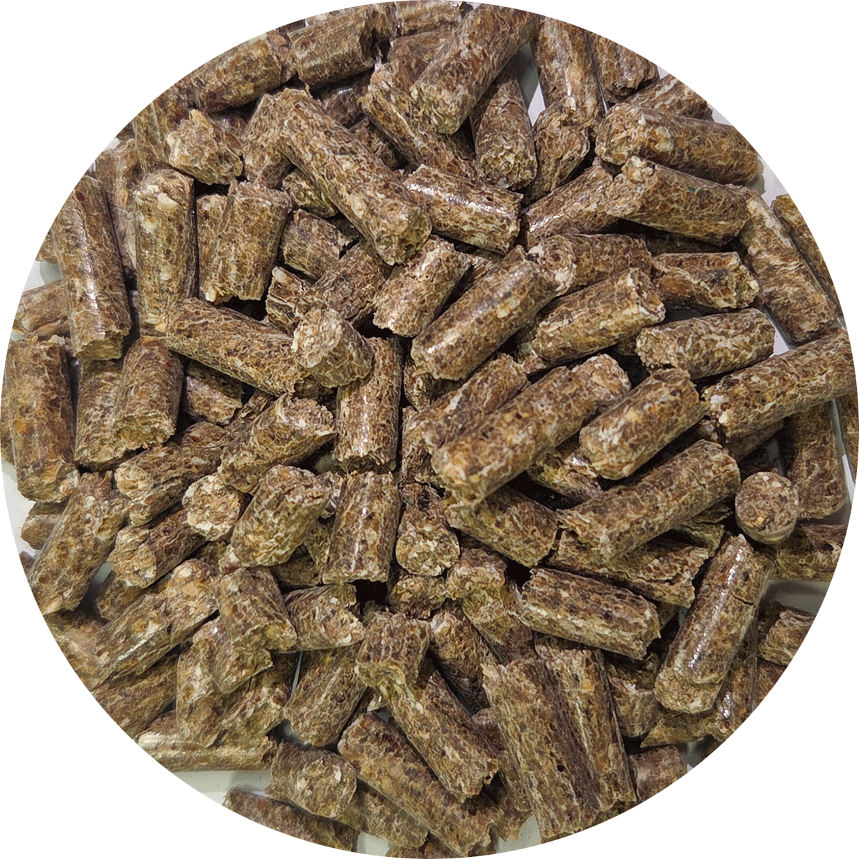 Pferdefutter Leader Junior 20 Kg