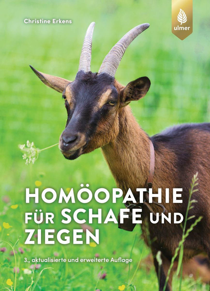 Homéopathie pour moutons et chèvres