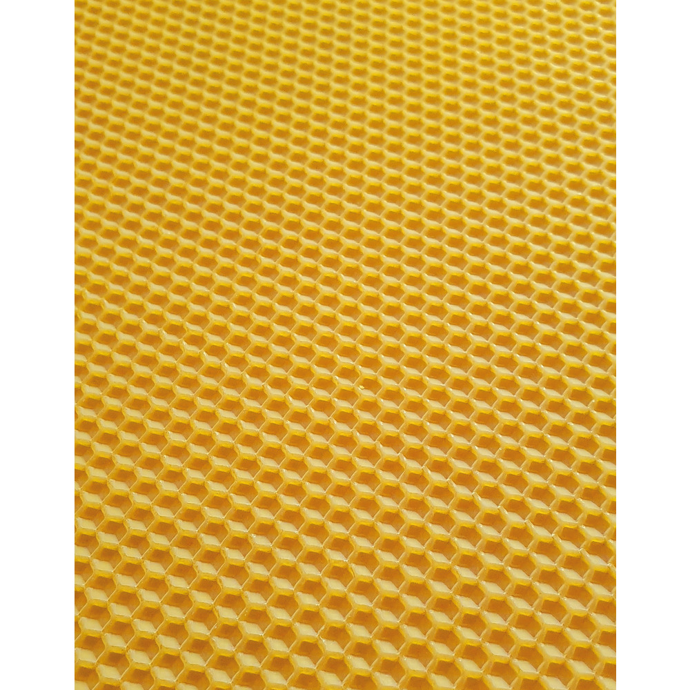 Bio Mittelwände Zander 2kg
