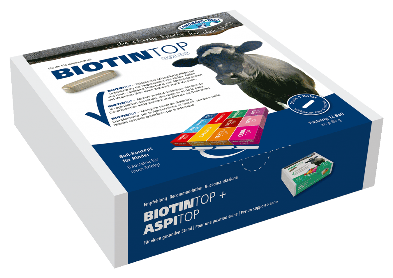 Biotintop Bolus - 12er Box