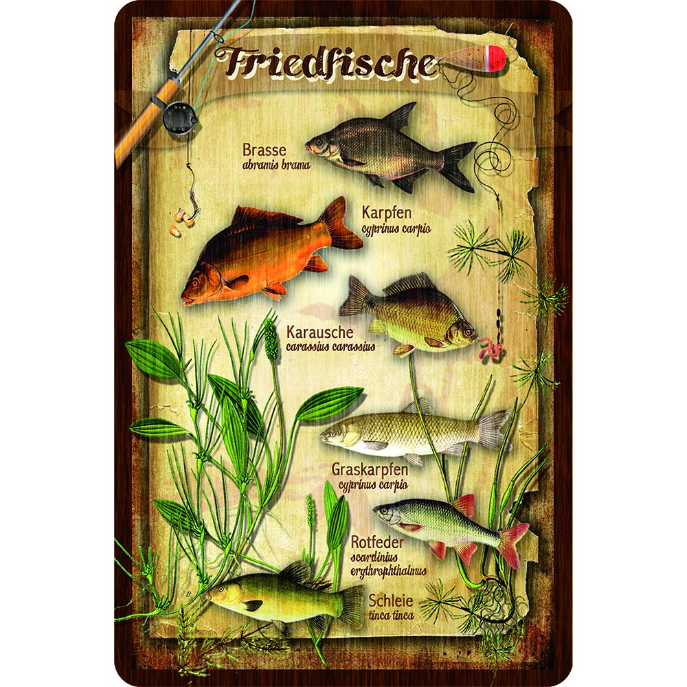 Blechschild 'Friedfische'