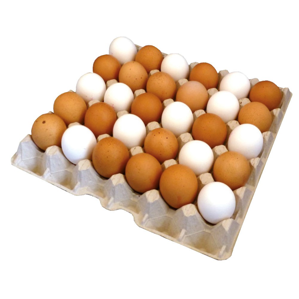 Récipients œufs pour 30 œufs