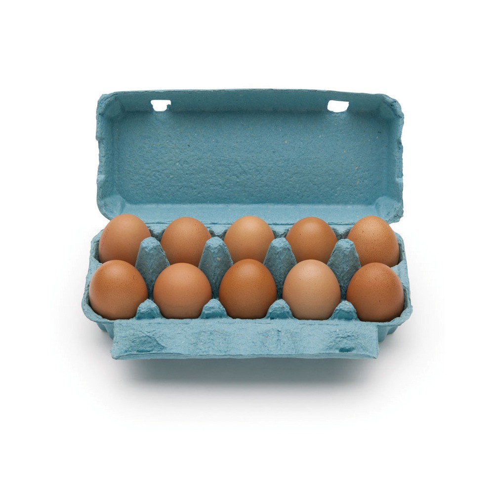 Récipiens œufs pour 10 œufs bleu